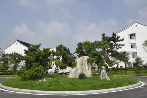 熱烈祝賀紫荊花怡養(yǎng)小鎮(zhèn)景觀綠化一期工程榮獲年度六安市建設(shè)工程“皋城杯”獎(jiǎng)