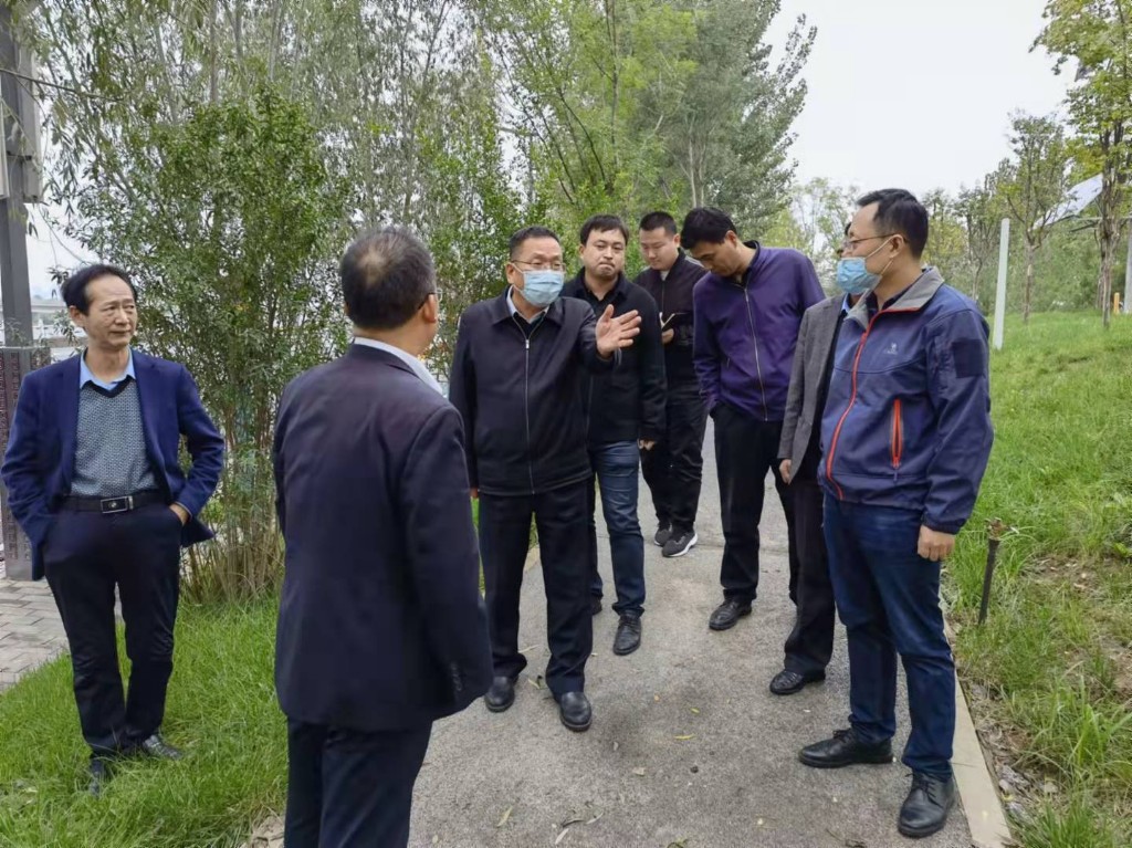 城市綠化的守護者 從王靖督導檢查看主城區綠化管理提升路徑